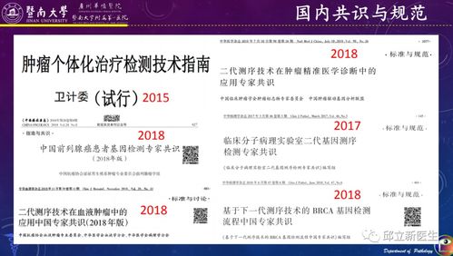 如何做好二代基因檢測的準(zhǔn)備工作及深度解讀結(jié)果，指導(dǎo)惡性腫瘤個體化靶向與免疫治療